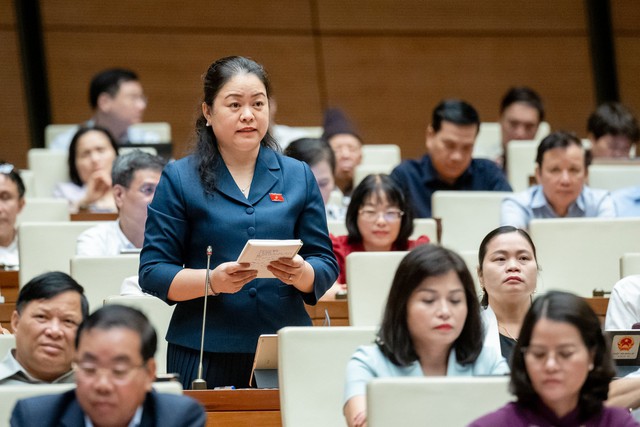 Nghiên cứu chế biến sâu đất hiếm, tăng cường đấu giá quyền khai thác khoáng sản- Ảnh 3.