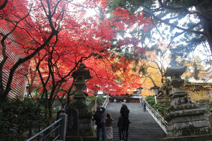 Vẻ đẹp kỳ bí tại ngôi chùa Nhật Bản hơn 600 tuổi trong tiết Thu ảnh 1