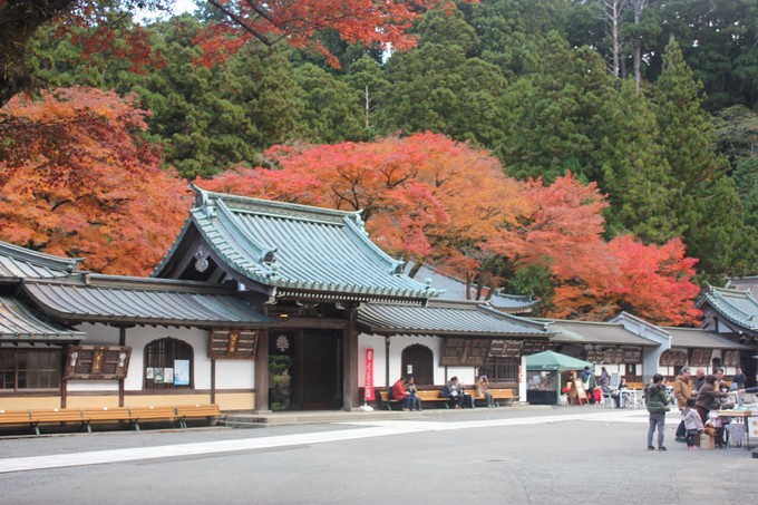 Vẻ đẹp kỳ bí tại ngôi chùa Nhật Bản hơn 600 tuổi trong tiết Thu ảnh 3