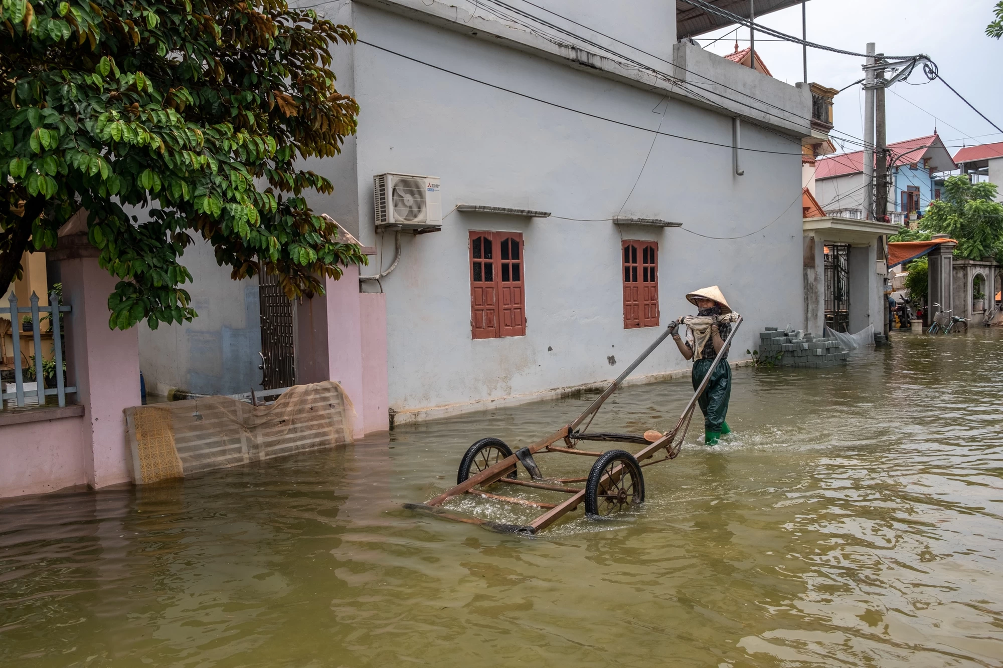 Một tuần sống cùng nước lũ của người dân ngoại thành Hà Nội: Chèo thuyền đi chợ, thả lưới bắt cá trước nhà- Ảnh 11.