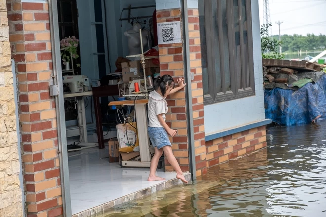 Một tuần sống cùng nước lũ của người dân ngoại thành Hà Nội: Chèo thuyền đi chợ, thả lưới bắt cá trước nhà- Ảnh 13.