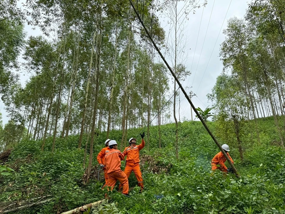 cung cấp điện