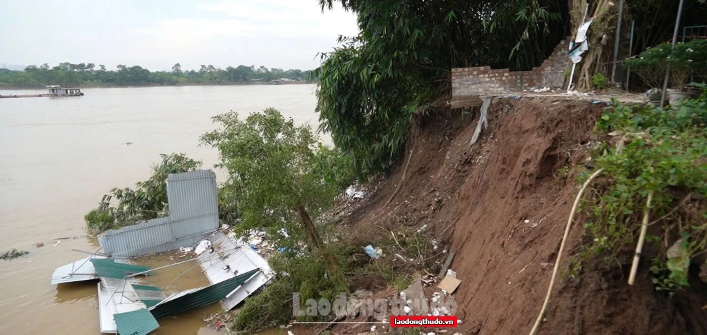 Gia Lâm: Người dân xã Kim Lan bàng hoàng vì tình trạng sạt lở bờ sông