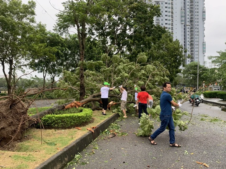 Cách phòng chống bệnh dịch sau bão- Ảnh 1.