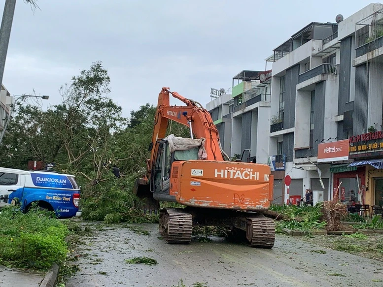 Cách phòng chống bệnh dịch sau bão- Ảnh 2.