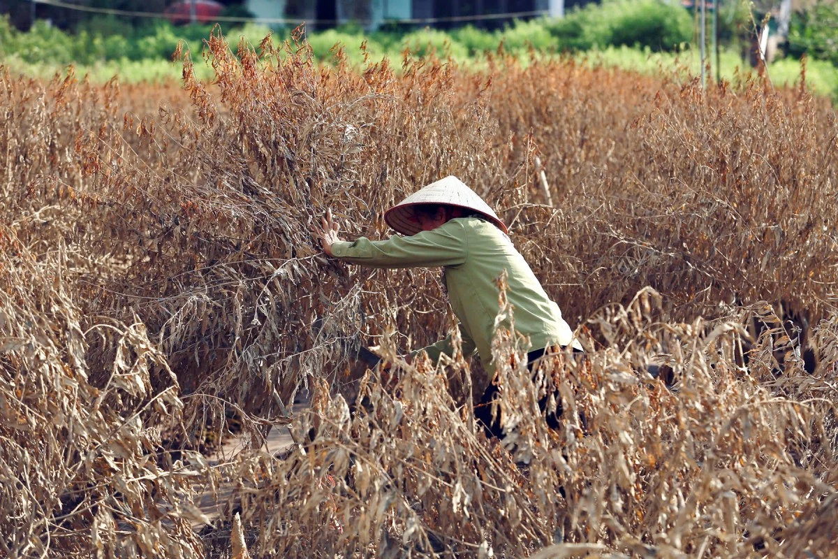 Đắng lòng trước cảnh tan hoang tại 