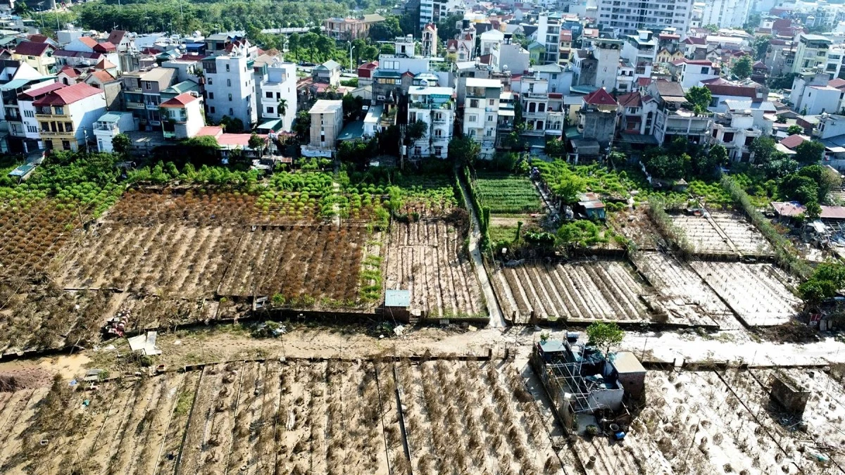 Đắng lòng trước cảnh tan hoang tại 