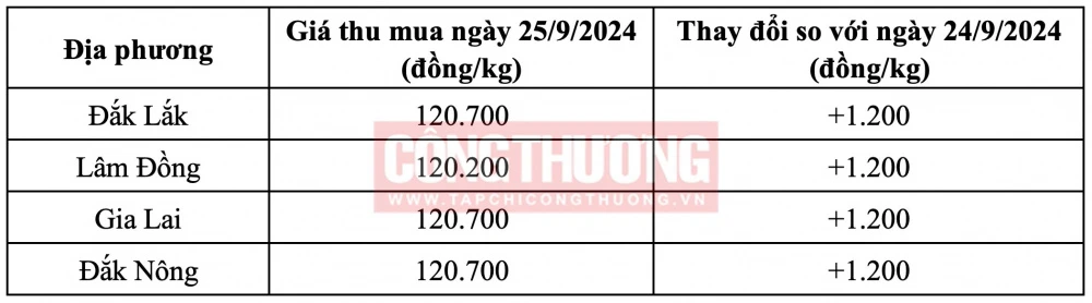 Giá cà phê hôm nay Tạp chí Công Thương