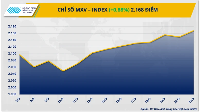 Giá cà phê và nông sản quay đầu tăng mạnh- Ảnh 1.