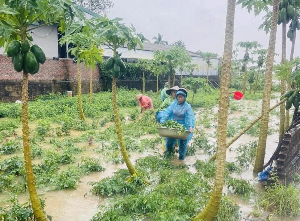 Huyện Đan Phượng thăm hỏi, hỗ trợ người dân bị ảnh hưởng mua lũ ổn định đời sống