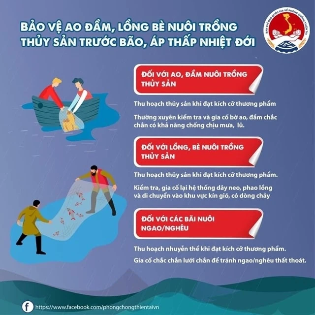 NHỮNG VIỆC NGƯỜI DÂN CẦN LÀM TRƯỚC, TRONG VÀ SAU BÃO- Ảnh 3.