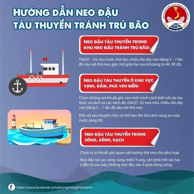 NHỮNG VIỆC NGƯỜI DÂN CẦN LÀM TRƯỚC, TRONG VÀ SAU BÃO- Ảnh 4.