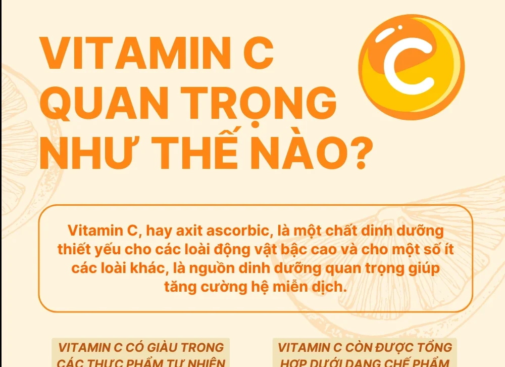 Vitamin C quan trọng như thế nào?