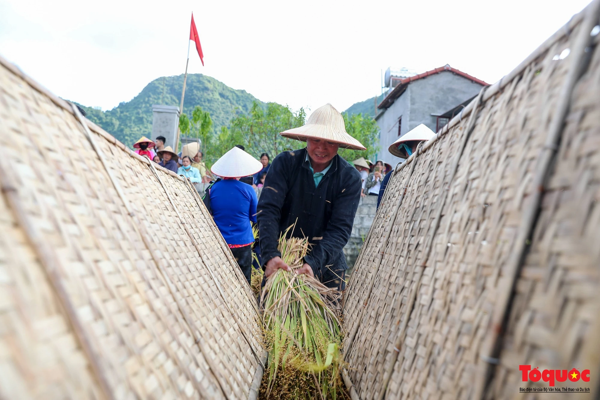 Lên Bắc Sơn xem đồng bào Tày thi gặt lúa bằng công cụ thô sơ - Ảnh 11.