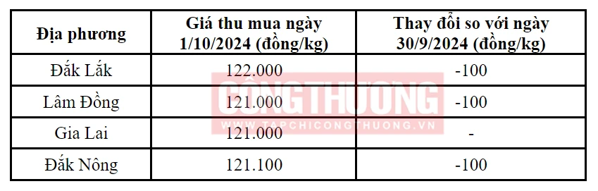 Tham khảo giá cà phê hôm nay ngày 1/10/2024 tại khu vực Tây Nguyên