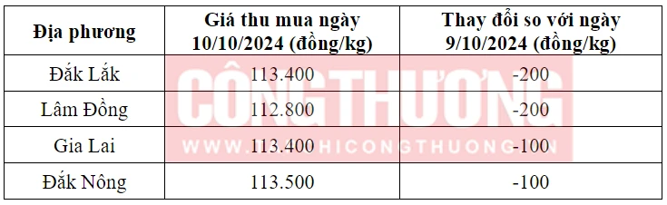 Tham khảo giá cà phê hôm nay ngày10/10/2024 tại khu vực Tây Nguyên