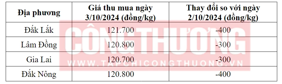 Tham khảo giá cà phê hôm nay ngày 3/10/2024 tại khu vực Tây Nguyên