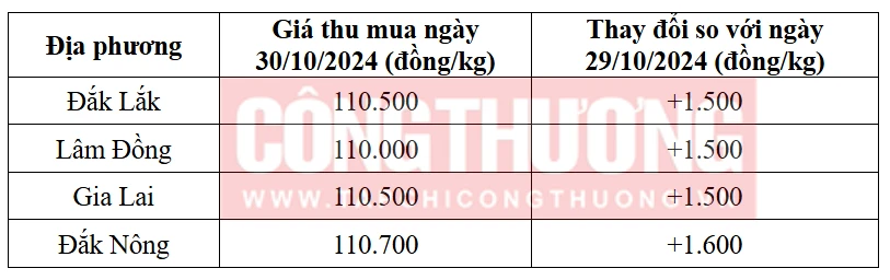 Tham khảo giá cà phê hôm nay ngày 30/10/2024 tại khu vực Tây Nguyên