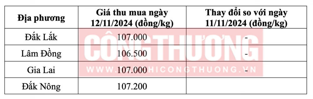 Tham khảo giá cà phê hôm nay ngày 11/11/2024 tại khu vực Tây Nguyên