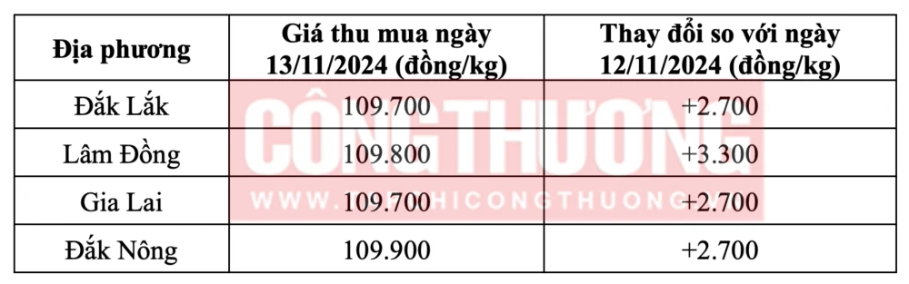 Tham khảo giá cà phê hôm nay ngày 13/11/2024 tại khu vực Tây Nguyên