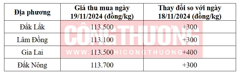 Tham khảo giá cà phê hôm nay ngày 19/11/2024 tại khu vực Tây Nguyên