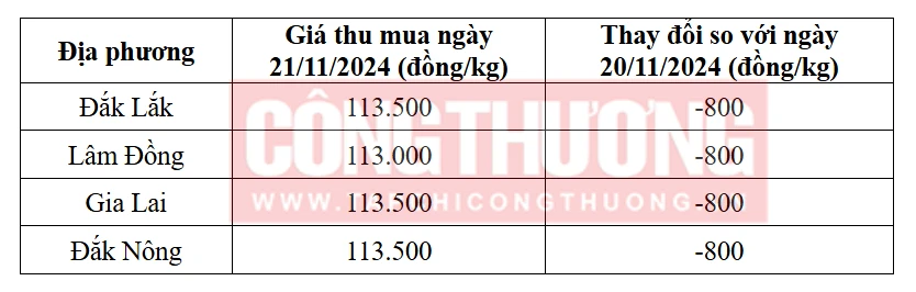 Tham khảo giá cà phê hôm nay ngày 21/11/2024 tại khu vực Tây Nguyên