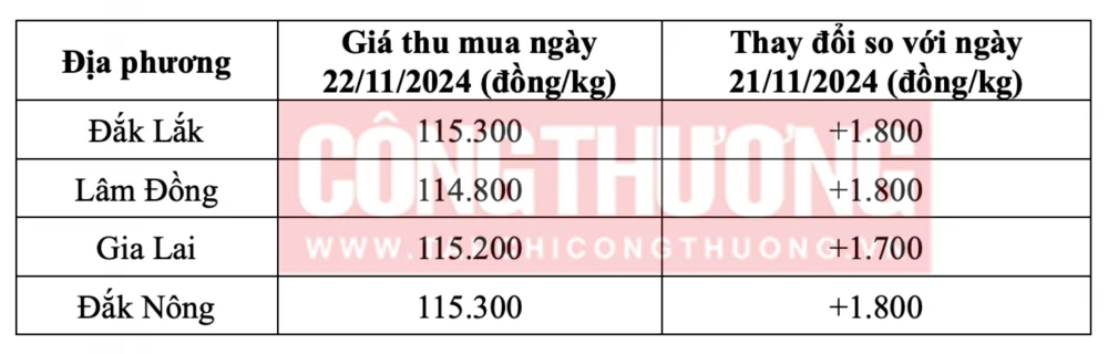 Tham khảo giá cà phê hôm nay ngày 22/11/2024 tại khu vực Tây Nguyên