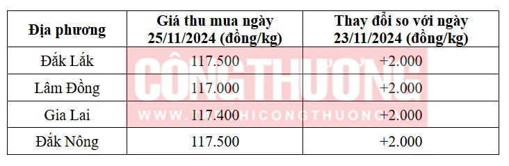 Tham khảo giá cà phê hôm nay ngày 25/11/2024 tại khu vực Tây Nguyên