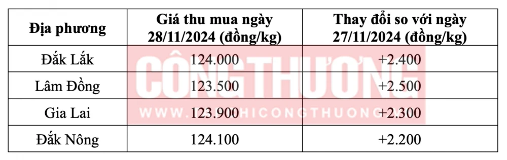 Tham khảo giá cà phê hôm nay ngày 28/11/2024 tại khu vực Tây Nguyên