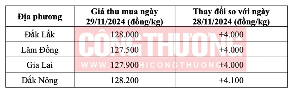 Tham khảo giá cà phê hôm nay ngày 29/11/2024 tại khu vực Tây Nguyên