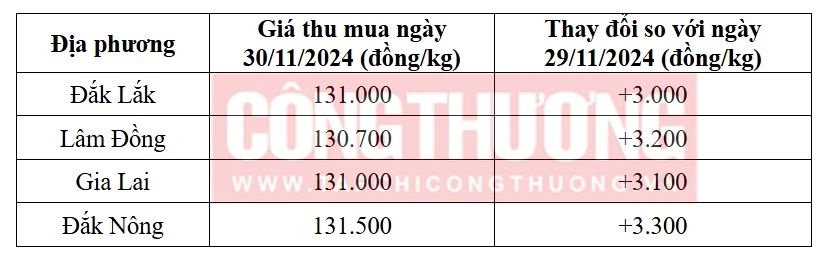 Tham khảo giá cà phê hôm nay ngày 30/11/2024 tại khu vực Tây Nguyên