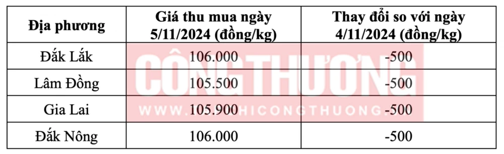 Tham khảo giá cà phê hôm nay ngày 5/11/2024 tại khu vực Tây Nguyên