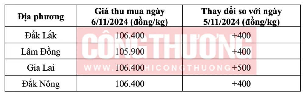 Tham khảo giá cà phê hôm nay ngày 6/11/2024 tại khu vực Tây Nguyên