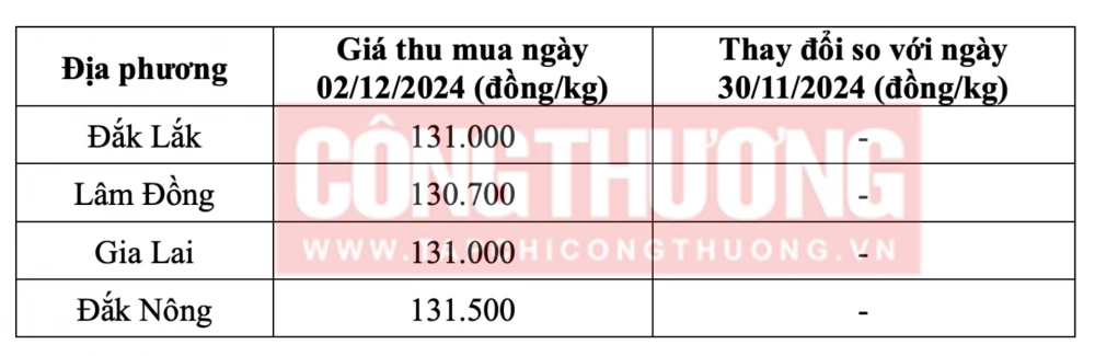 Giá cà phê hôm nay ngày 02/12/2024 tại thị trường trong nước