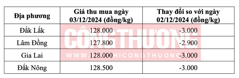 Giá cà phê hôm nay ngày 03/12/2024 tại thị trường trong nước