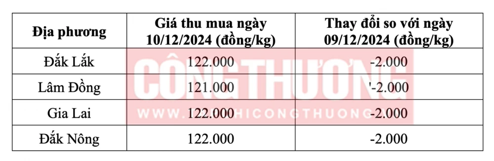 Giá cà phê hôm nay ngày 10/12/2024 tại thị trường trong nước