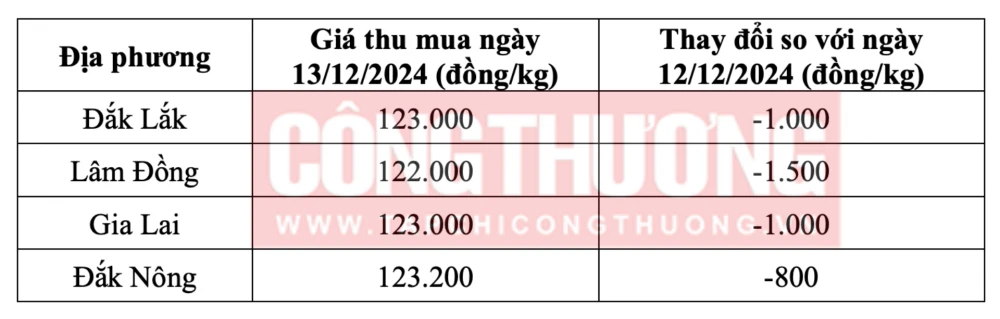 Tham khảo giá cà phê hôm nay ngày 13/12/2024 tại khu vực Tây Nguyên