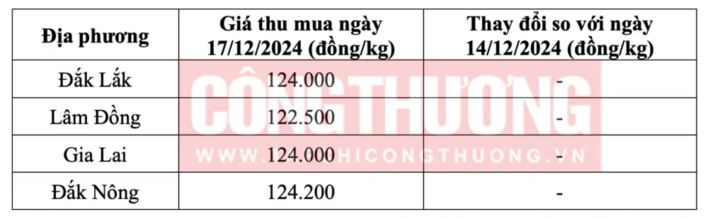 Tham khảo giá cà phê hôm nay ngày 17/12/2024 tại khu vực Tây Nguyên