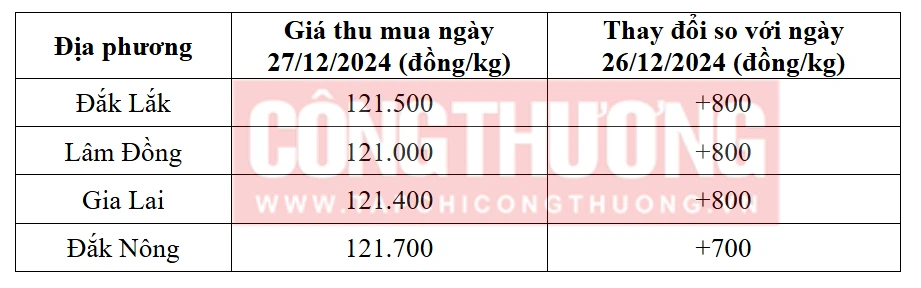 Tham khảo giá cà phê hôm nay ngày 27/12/2024 tại khu vực Tây Nguyên