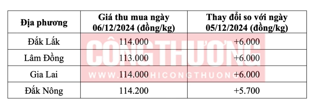 Giá cà phê hôm nay ngày 6/12/2024 tại thị trường trong nước