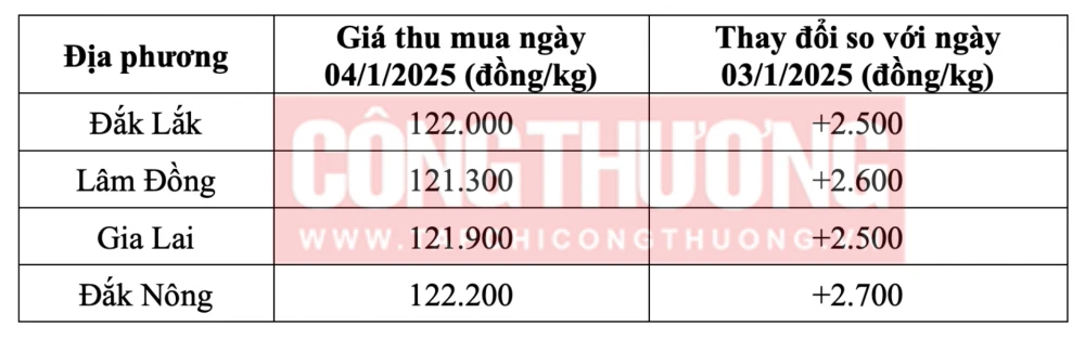 Tham khảo giá cà phê hôm nay ngày 04/1/2025 tại khu vực Tây Nguyên