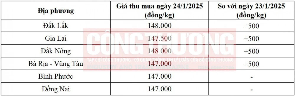 giá tiêu hôm nay