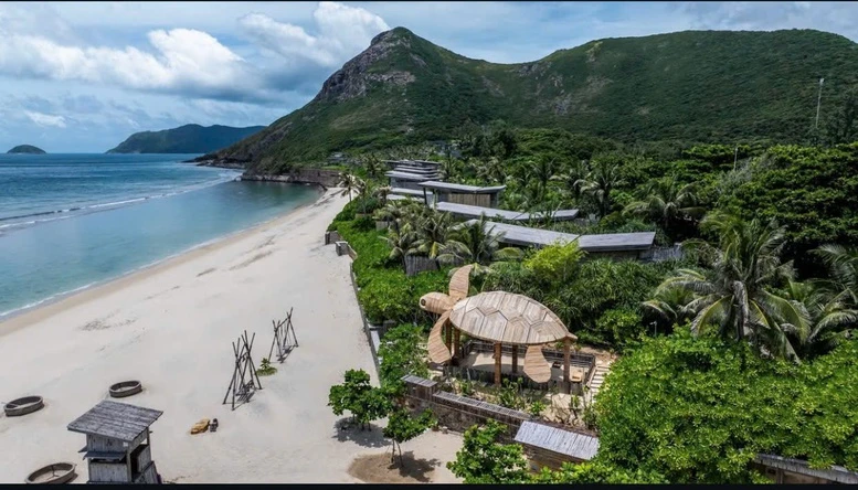 Cột mốc đáng tự hào: Hơn 30.000 cá thể rùa biển được thả về đại dương tại Côn Đảo- Ảnh 1.