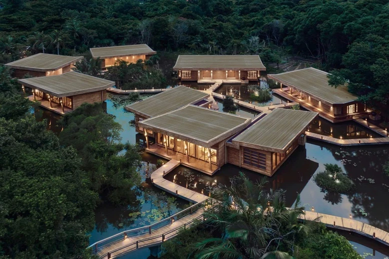 Cột mốc đáng tự hào: Hơn 30.000 cá thể rùa biển được thả về đại dương tại Côn Đảo- Ảnh 5.
