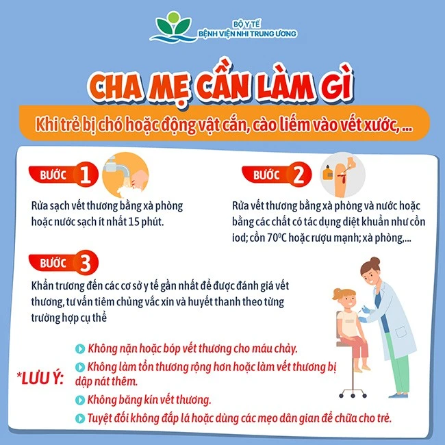 Trẻ nguy kịch vì bệnh dại sau 5 tháng bị chó nhà cắn
