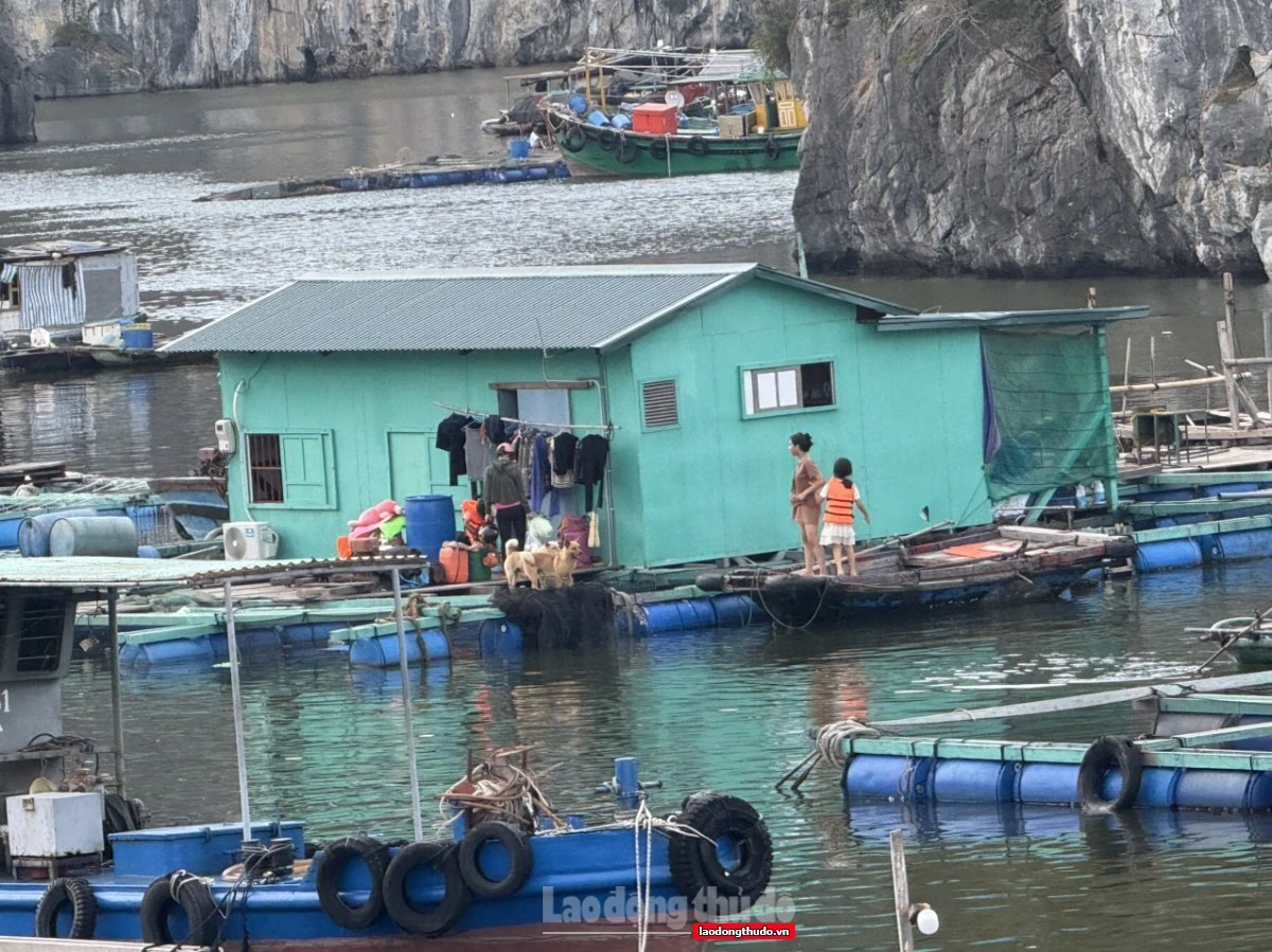 Làng chài Cái Bèo và hành trình trở lại nguyên sơ