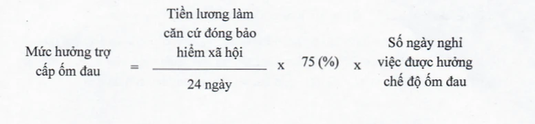 Quy định mới nhất về bảo hiểm xã hội bắt buộc- Ảnh 2.