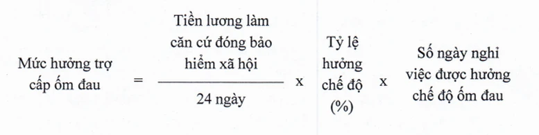 Quy định mới nhất về bảo hiểm xã hội bắt buộc- Ảnh 3.