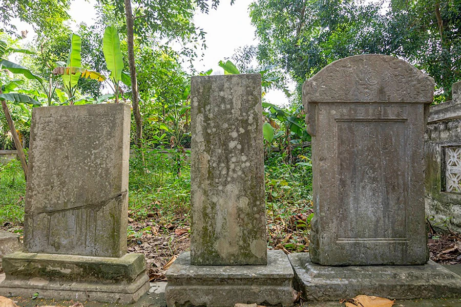 tong-tat-thang-danh-tuong-khai-khoa-mien-dat-hoc-5.jpg