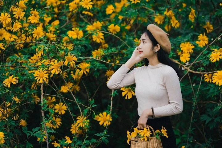 Một số đơn vị lữ hành đang chào tour Hà Nội - Mộc Châu mùa hoa dã quỳ 2 ngày 1 đêm giá từ 1,49 triệu đồng/người. Tour sẽ khởi hành từ Hà Nội bằng ô tô. (Ảnh: Dulich24)